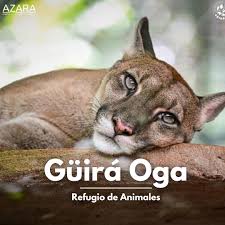 Güirá Oga Interior